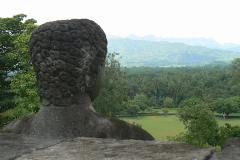 ind_065