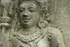 ind_113