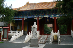 P1060507