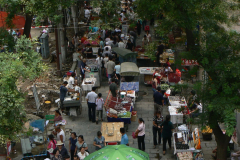 P1070086