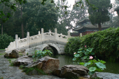 P1070207