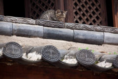 china2011-114
