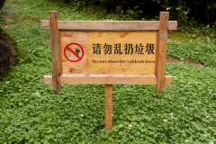 china2011-149