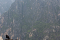 china2011-256