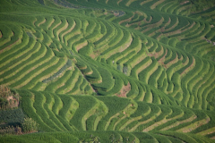 china2011-395