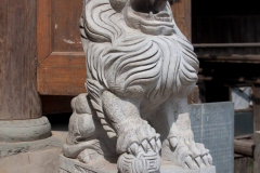 china2011-419