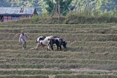 india_064