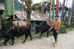 india_091