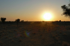 india_251