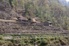nepal-26