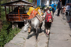 nepal-28