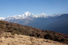 nepal-56