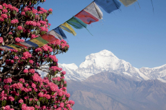 nepal-57