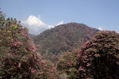 nepal-63