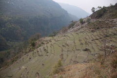 nepal-75