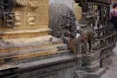 nepal-9