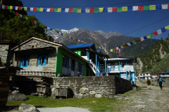 DSC03947