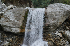 DSC03955