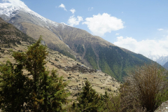 DSC04156