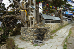 DSC04193