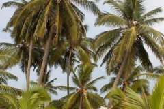 SriLanka_002