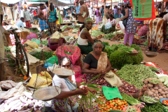 SriLanka_026