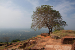SriLanka_039