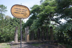 SriLanka_051