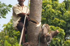 SriLanka_071