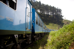 SriLanka_086