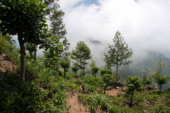SriLanka_088