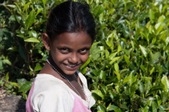 SriLanka_100