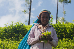 SriLanka_102