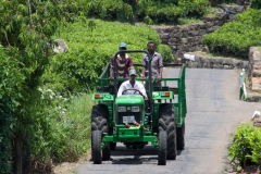 SriLanka_109