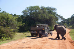 SriLanka_122