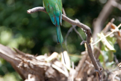 SriLanka_132