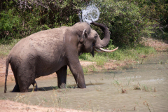 SriLanka_138