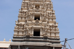 SriLanka_158