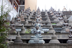 SriLanka_185