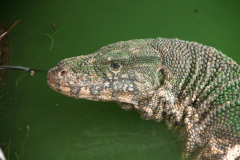 SriLanka_201