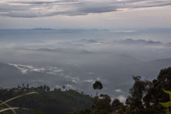 Srilanka_037
