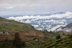 Srilanka_043