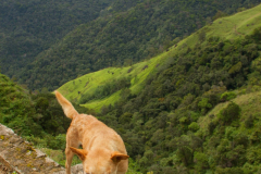 Srilanka_071