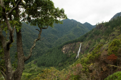 Srilanka_073