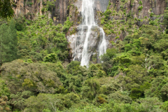 Srilanka_075
