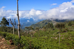 Srilanka_077