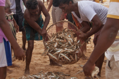 Srilanka_089