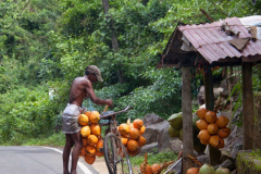 Srilanka_104