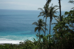 taiwan_0202