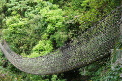 taiwan_0242